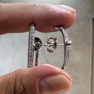 Brinco Ear Hook cravejado - tarraxa