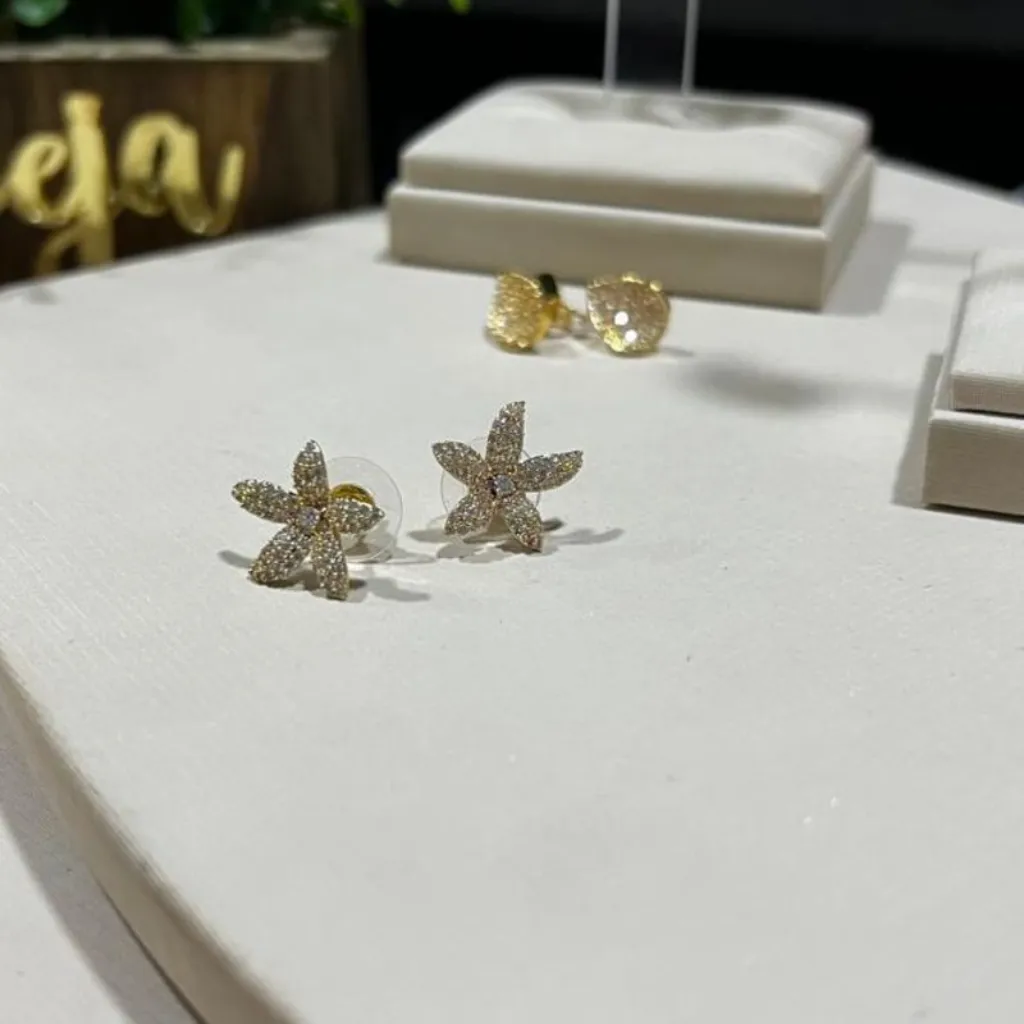 Brinco de Flor Cravejado - tarraxa